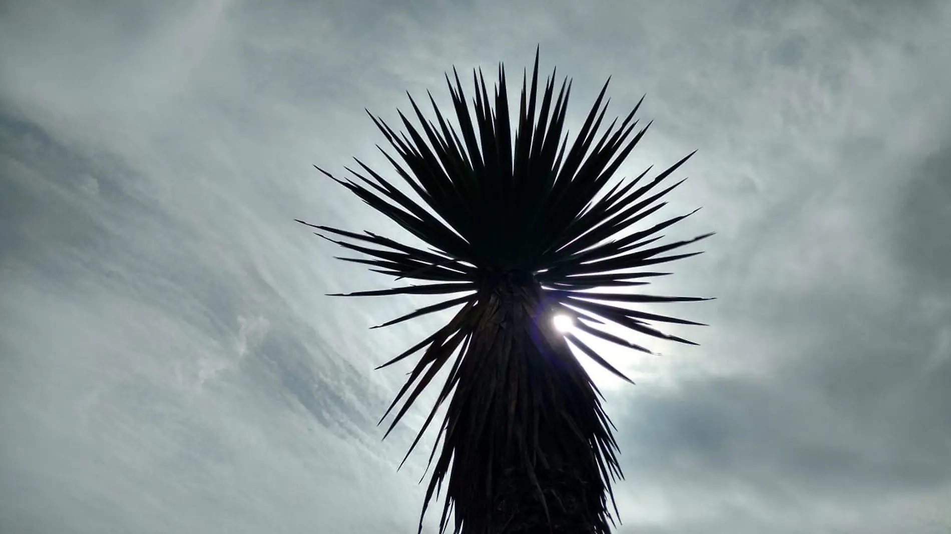 San Juan Raya, una reserva natural con paisajes sorprendentes